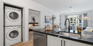 Solaris Encinitas Gallery 4