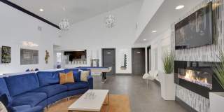 The Modern Gallery 44