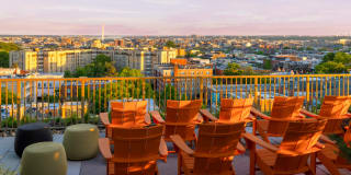 The Silva Gallery 26