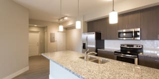 Shalimar at Davie Gallery 5