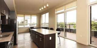 The Elysian Gallery 637