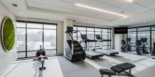 Nolan Mains Gallery 72