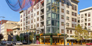 The Madison Gallery 25