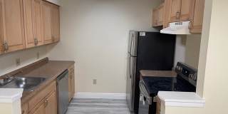 225 South Tropical Trail - 619 Gallery 8