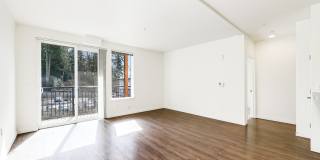 Allegro Lynwood Gallery 67