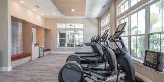 Alta Citron Gallery 38