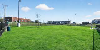 Aspire at Sherman Gallery 22