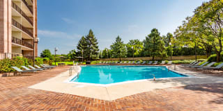 Crystal Place Gallery 81