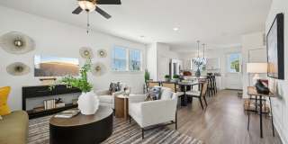 Avanterra Black Forest Gallery 12