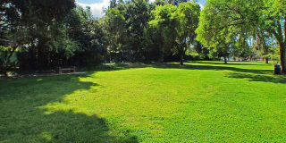 Woodbridge Park Gallery 10