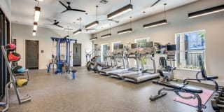 Aventura on Briar Forest Gallery 20