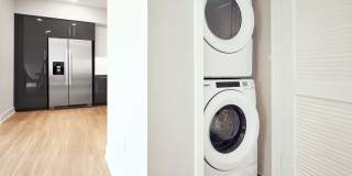 The Linden Gallery 15