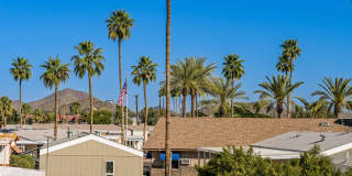 2502 E Paradise Lane Gallery 45