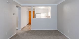 1 & Bedrooms Walking distance to McCarrons Lake! - Roseville 1 & Bedrooms Walking distance to McCarrons Lake! - Roseville Gallery 15