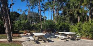 22161 Tallwood Ct Gallery 28