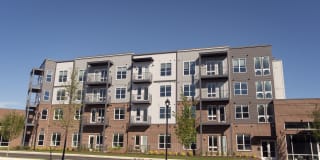 Avenue Madison Gallery 24