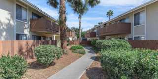 The Dylan Apartments Gallery 2