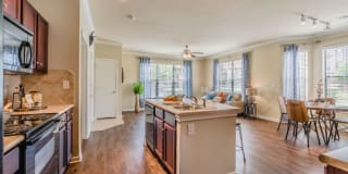 Hunter's Cove Gallery 1