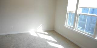 3121 Coquina Lane Gallery 13