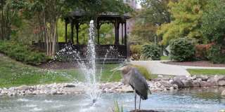 15300 BEAVERBROOK Court unit: 88-2B Gallery 41