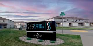 Silver Springs Gallery 1