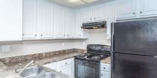 Oak Tree Court Gallery 40