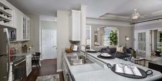 Lake Clearwater Gallery 16