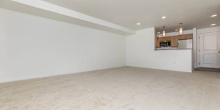 Delano Gallery 44