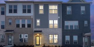 43793 MYSTIC MAROON Gallery 1