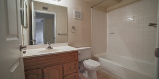 Palms of Clearwater Gallery 46