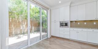 65 Island Coral Gallery 6