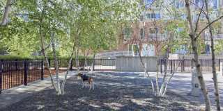 Flux Apartments Gallery 13