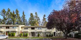 Crystal Bay Gallery 2