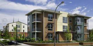 Cornerstone Village Gallery 20