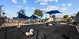 Sierra Walk Gallery 13