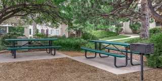 Knollwood Apartments Gallery 12