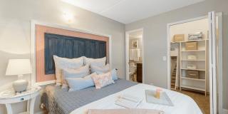 Sea Oats Sea Oats Gallery 82