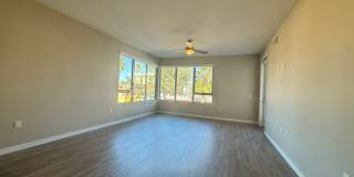 355 N Cleveland Street #310 Gallery 19