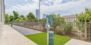 Muse Apartments Gallery 17