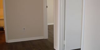 204 CAMERON Street Gallery 19