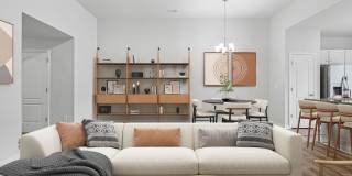 Poplin Trace Gallery 4