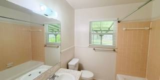 Just updated 3/2 home on a quiet street in desirable north Austin! Gallery 24