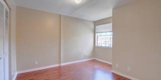 11073 Harbour Springs Circle Gallery 43