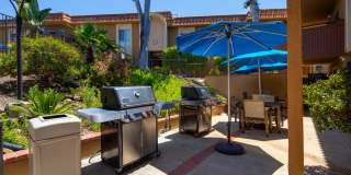 Volterra at La Mesa Gallery 71