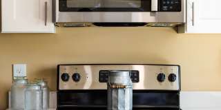 Paugus Woods Gallery 11