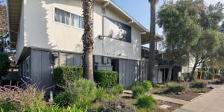Bay Terrace Gallery 4