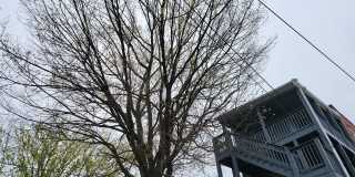 2012 MOUNT ROYAL Gallery 31