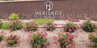 CADENCE SINGLE STORY @ HERITAGE! GORGEOUS AND READY FOR MOVE IN! Gallery 13