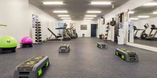 The Grove Gallery 10