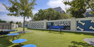 NoHo Flats Gallery 11